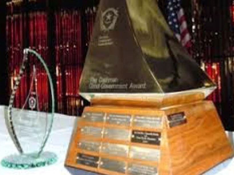 Cashman Good Government Award file image